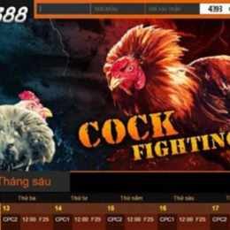 vss388 da ga truc tiep