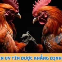 xem đá gà trực tiếp cpc2 congaden com