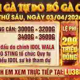 xem giải gà đá