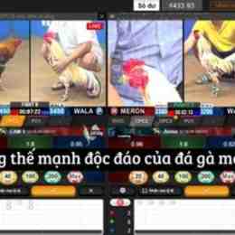 xem lại đa gà hôm nay